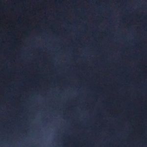 Meet your Posher, Kayden